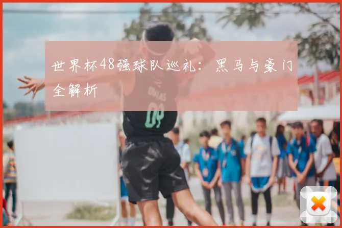 世界杯48强球队巡礼：黑马与豪门全解析