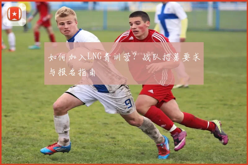 如何加入LNG青训营？战队招募要求与报名指南