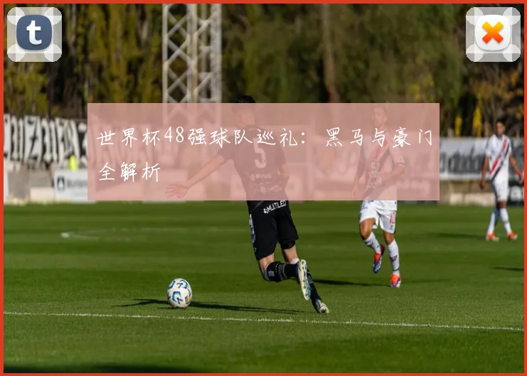 世界杯48强球队巡礼：黑马与豪门全解析